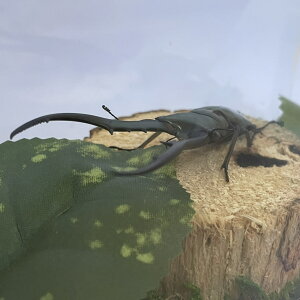 ���^���t�F���z�\�A�J�N���K�^�i�W�I���}�W�{�j