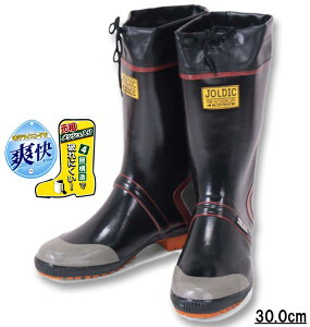 傫TCY Y JOLDIC DX-2 C ubN 30cm 