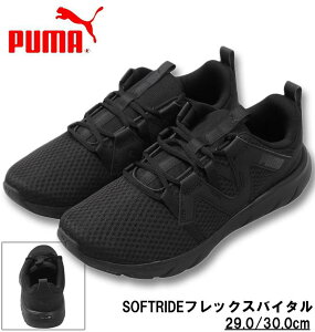 傫TCY Y PUMA Xj[J[ (SOFTRIDEtbNXoC^) v[}ubN 29cm 30cm 