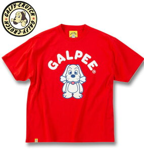 �傫���T�C�Y �����Y GALFY GALPEE ���� T�V���c ���b�h 3L 4L 5L 6L ��������