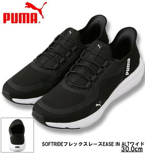 傫TCY Y PUMA Xj[J[ (SOFTRIDEtbNX[XEASE IN ALTCh) v[}ubN 30cm 