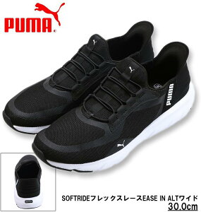 傫TCY Y PUMA Xj[J[ (SOFTRIDEtbNX[XEASE IN ALTCh) v[}ubN 30cm 