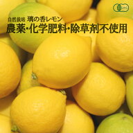 熊本県産 有機自然栽培 奇跡の璃の香（りのか）レモン 2kgから5kg ア・ベリーガーデン 奇跡のりんご木村…