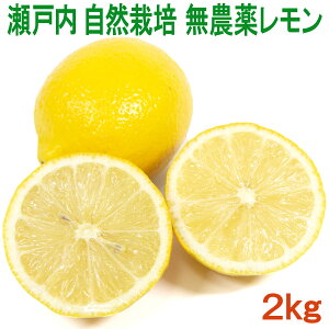 Y R͔| Ղ̃2kg _򊮑Ssgp w엿Eܕsgp m[bNX h hJrܕsgp璆̎ʏ`܂ňSĐHׂ QY 单_