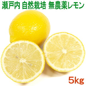 Y R͔| Ղ̃5kg _򊮑Ssgp w엿Eܕsgp m[bNX h hJrܕsgp璆̎ʏ`܂ňSĐHׂ QY 单_