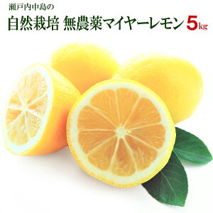 Y R͔| Ղ̃}C[5kg _򊮑Ssgp w엿Eܕsgp m[bNX h hJrܕsgp璆̎ʏ`܂ňSĐHׂ QY 单_