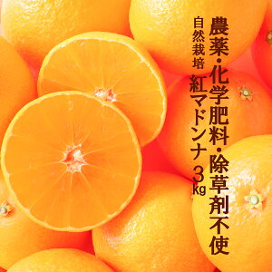 ����͂��܂��I���������H�� ���R�͔| �g�}�h���i 3kg ���S���_�� �����w�엿 �����ܕs�g�p �m�[���b�N�X �h���� �h�J�r�ܕs�g�p������ ���̎����ʏ`�����S���ĐH�ׂ��� ���Q���Y �单�_