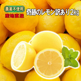 自然栽培 奇跡のレモン 訳あり2kg 国産 完全農薬不使用 無肥料 除草剤不使用 ノーワックス 防腐剤・防カビ剤不使用だから中の実も果汁も皮まで安心して食べられる はちみつレモンにぴったり 瀬戸内の島レモン