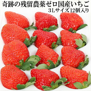 Ղ c_[ Y  3LTCY i9`12j w_sgp Ղ̖_򂢂 ܕsgp m[bNX h܁EhJrܕsgp _CɂSăoNoNHׂ