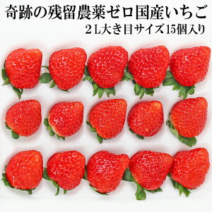 Ղ c_[ Y  2L傫ڃTCY i15j w_sgp Ղ̖_򂢂 ܕsgp m[bNX h܁EhJrܕsgp _CɂSăoNoNH