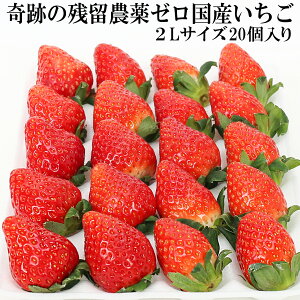 Ղ c_[ Y  2LTCY i20j w_sgp Ղ̖_򂢂 ܕsgp m[bNX h܁EhJrܕsgp _CɂSăoNoNHׂ