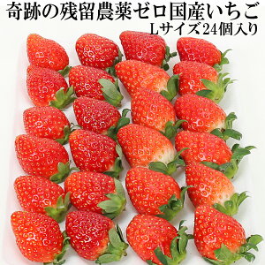 Ղ c_[ Y  LTCY i24j w_sgp Ղ̖_򂢂 ܕsgp m[bNX h܁EhJrܕsgp _CɂSăoNoNHׂ