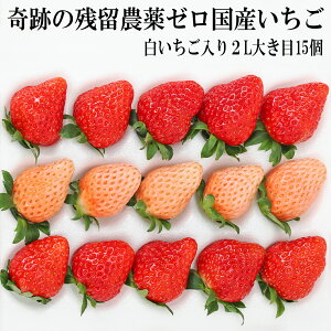 Ղ c_[ Y  2L傫ڃTCY i15j zCgx[ w_sgp Ղ̖_򂢂 ܕsgp m[bNX h܁EhJrܕsgp _Cɂ