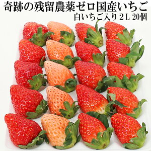 Ղ c_[ Y  2LTCY i20j zCgx[ w_sgp Ղ̖_򂢂 ܕsgp m[bNX h܁EhJrܕsgp _CɂS