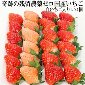 Ղ c_[ Y  LTCY i24j zCgx[ w_sgp Ղ̖_򂢂 ܕsgp m[bNX h܁EhJrܕsgp _CɂS