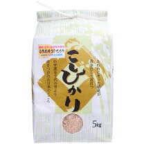 楽天市場】熊本 阿蘇 コシヒカリ 新米の通販