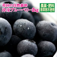 これはうまい！ 信州 松井農園 自然栽培 奇跡の冷凍ブルーベリー 2kg 農薬完全不使用 無肥料 循環型栽培…