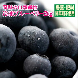 これはうまい！ 信州 松井農園 自然栽培 奇跡の冷凍ブルーベリー 2kg 農薬完全不使用 無肥料 循環型栽培だから皮ごと食べても安心安全でとてもおいしい