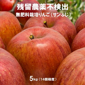  5kg c_soƂӖ _ 엿 (wnL@nł炷̂ŊSsgp) ܕsgp OzT[gso Ɏ_Ԓfso cːso m[