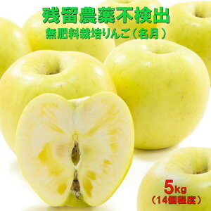 ͂܂I  5kg c_so 엿(wnL@nł炷̂ŊSsgp) ܕsgp cOzT[gso Ɏ_Ԓfso cːso m[