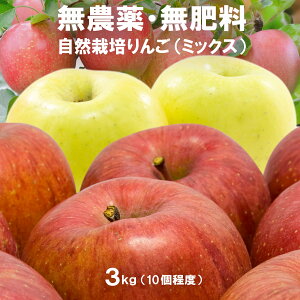 ͂܂I  3kg c_so 엿 (wnL@nł炷̂ŊSsgp) ܕsgp OzT[gso Ɏ_Ԓfso cːso m[bN