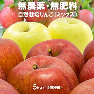 ͂܂I  5kg c_so 엿 (wnL@nł炷̂ŊSsgp) ܕsgp OzT[gso Ɏ_Ԓfso cːso m[bN