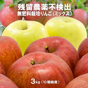 ͂܂I  3kg c_so 엿 (wnL@nł炷̂ŊSsgp) ܕsgp OzT[gso Ɏ_Ԓfso cːso m[bN