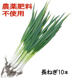 ͂܂I QnY R͔| Ղ ˂ 10{ _sgp w엿L@엿ł炷̂ŊSsgp ܕsgp h܁EhJrܕsgp SĐHׂ 엿