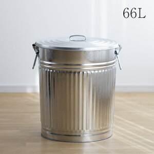 g^ oPc 66L i70^j ӂXgbp[t ^y[ _Xg{bNX S~ ݔ e { 66bg ^ Vo[  Y ybgt[h XgbJ[