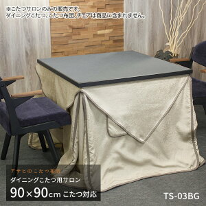 _CjOpT TS-03BG x[W _CjO g T h~ Hׂڂh~ a  Jo[ n { 