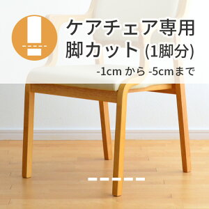 PA`FAƓɂ rJbg 1cm`5cm ֎qH `FA オ⏕  