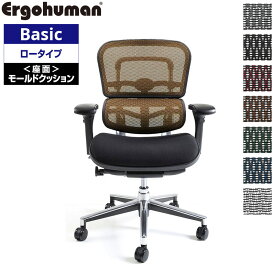 エルゴヒューマン ベーシック ロータイプ EH-LBM モールドクッション オフィスチェア パソコンチェア デスクチェア Ergohuman Basic リクライニング メッシュ テレワーク 椅子 おしゃれ 送料無料