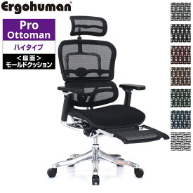 エルゴヒューマン プロ オットマン 内蔵 EHP-CPL モールドクッション オフィスチェア パソコンチェア デスクチェア Ergohuman PRO Ottoman ハイバック リクライニング メッシュ テレワーク 椅子 おしゃれ 送料無料