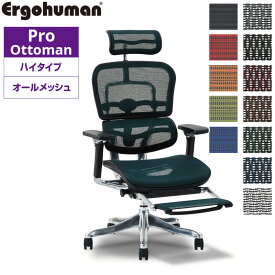 エルゴヒューマン プロ オットマン 内蔵 EHP-LPL メッシュ オフィスチェア パソコンチェア デスクチェア Ergohuman PRO Ottoman ハイバック リクライニング テレワーク 椅子 おしゃれ 送料無料