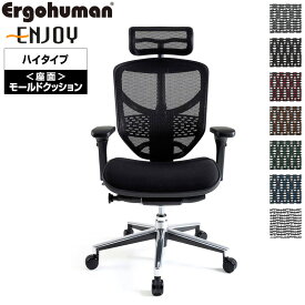エルゴヒューマン エンジョイ ハイタイプ EJ-HBM モールドクッション オフィスチェア パソコンチェア デスクチェア Ergohuman Enjoy ハイバック リクライニング メッシュ テレワーク 椅子 おしゃれ 送料無料