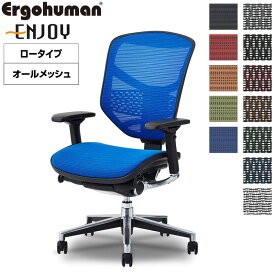 エルゴヒューマン エンジョイ ロータイプ EJ-LAM メッシュ オフィスチェア パソコンチェア デスクチェア Ergohuman Enjoy リクライニング テレワーク 椅子 おしゃれ 送料無料