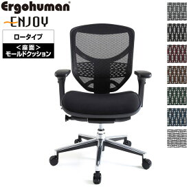 エルゴヒューマン エンジョイ ロータイプ EJ-LBM モールドクッション オフィスチェア パソコンチェア デスクチェア Ergohuman Enjoy リクライニング メッシュ テレワーク 椅子 おしゃれ 送料無料