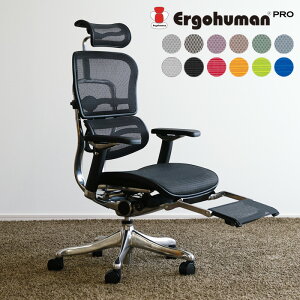 エルゴヒューマン プロ オットマン 内蔵 EHP-LPL メッシュ オフィスチェア パソコンチェア デスクチェア Ergohuman PRO Ottoman ハイバック リクライニング テレワーク 椅子 おしゃれ 送料無料 SS-P20