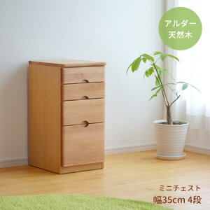 `FXg ~j 35cm 4i RST-CHT35-4 A_[ VR  ^X \y ؐ   RpNg X`FXg i` Vv 