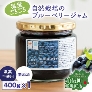 自然農法 ブルーベリージャム 400g 農薬不使用 除草剤不使用 化学肥料不使用 自然素材 天然素材 果実たっぷり ジャム 無添加 砂糖不使用 産地直送 国産 日本製 岡山県産 【産直】