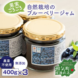 自然農法 ブルーベリージャム 400g x3個パック 農薬不使用 除草剤不使用 化学肥料不使用 自然素材 天然素材 果実たっぷり ジャム 無添加 砂糖不使用 産地直送 国産 日本製 岡山県産 【産直】