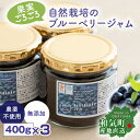 ＼クーポン対象12/11(木)AM1:59まで／ 自然農法 ブルーベリージャム 400g x3個パック 農薬不使用 除草剤不使用 化学肥料不使用 自然素材 天然素材 果実たっぷり ジャム 無添加 砂糖不使用 産地直送 国産 日本製 岡山県産 【産直】