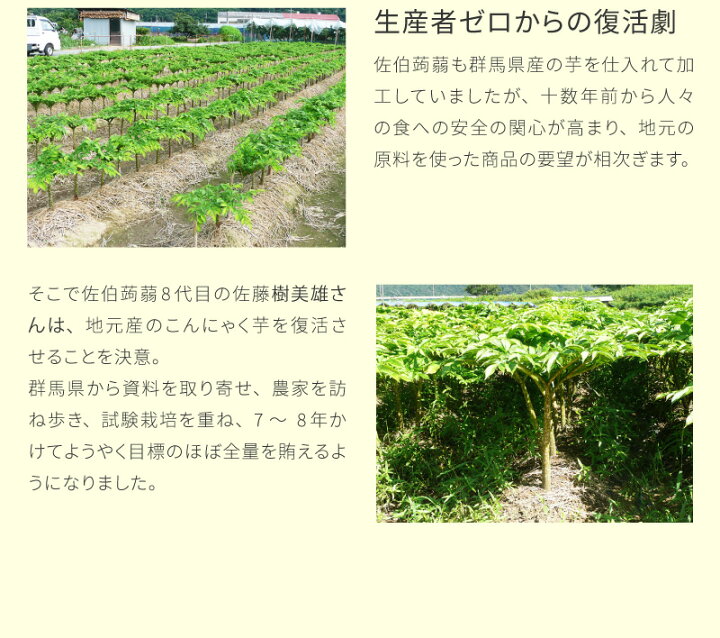 楽天市場 岡山県産 生いも こんにゃく 詰め合わせ Bセット 10点セット 角こんにゃく 糸こんにゃく ちくわこんにゃく 手造りこんにゃく 手作り てづくり クラフト 産地直送 国産 日本製 39 家具と雑貨 Bigmories 楽天市場 岡山県産 生いも こんにゃく 詰め合わせ Bセット 10点セット 角こんにゃく 糸こんにゃく ちくわこんにゃく 手造りこんにゃく 手作り てづくり クラフト 産地直送 国産 日本製 39 家具と雑貨 Bigmories