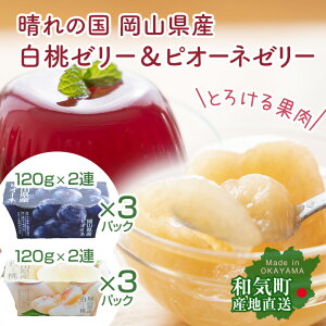 RY [[sI[l[[̃Zbg v2Ax6pbN ypz ʓՂ ނ Yn Y { yYz ubNtCf[