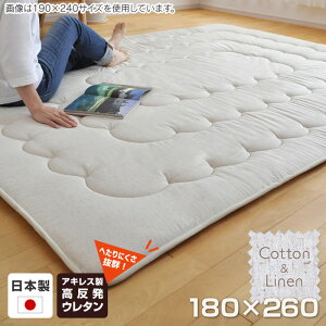 Y Ȗӂ烉O 180×260cm  Ɍ ~zc  ~zc ~   t H~ I[V[Y h {   rbO[Y 2506SS