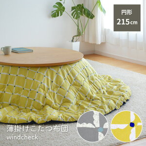 | zc@windcheck ~` a215cm CG[ O[ F ی^ |zc |zc ӂƂ 