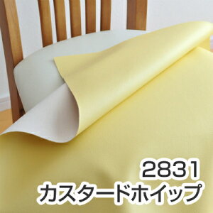 ͂[ 5܂1^֎q n Pi U[  60×60cm n ւ DIY CX ւ n Y VR[ I[}CeB[ R R HX `FA  C 萶n 