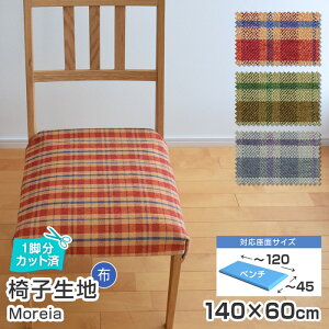 ͂[ x`TCY^֎q n Pi A 140×60cm zn `FbN  ֎qn DIY n  C  VR[ n ֎qւ ֎q̒ւ ֎q̒ւ H~