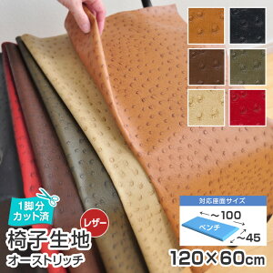 _9/4`Gg[P10{!^ ͂[ 2܂1^x`TCY^ ֎q n Pi I[Xgb` 120×60cm U[  n ֎qn ֎q̒ւ CX  DIY CX TQc `