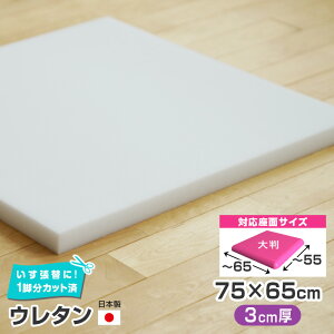 ͂[ 唻^ E^ Pi y3cmz75×65cm Y ֎q̒ւ X|W NbV  DIY  C  `FA CX ւ ֎qւ ͂肩 ֎q̒ւ ֎q ւ 